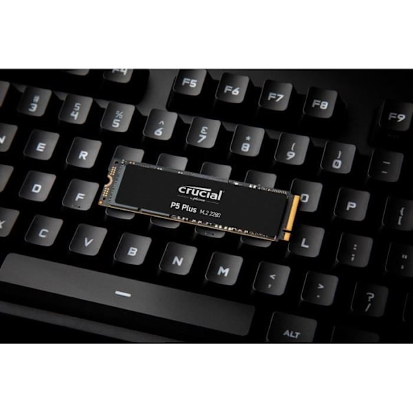 CRUCIAL - Internt SSD - P5 Plus - 500Go - M.2 Nvme (CT500P5PSSD8)