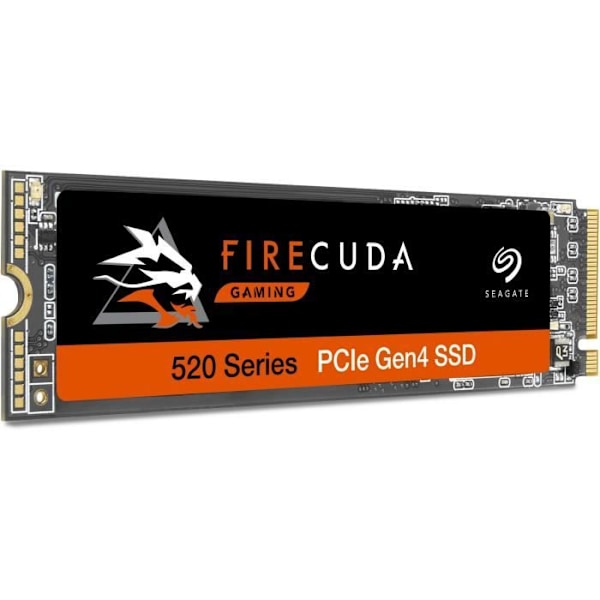 SEAGATE - Intern SSD - FireCuda 520 - 500GB - M.2 NVMe (ZP500GM3A002)