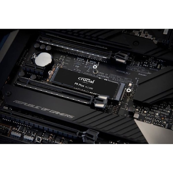 CRUCIAL - Internt SSD - P5 Plus - 500Go - M.2 Nvme (CT500P5PSSD8)