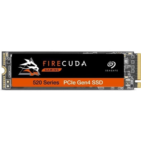SEAGATE - Intern SSD - FireCuda 520 - 500 GB - M.2 NVMe (ZP500GM3A002)