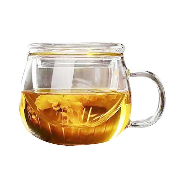 Tjockt Transparent Glas Kopp Med Sil Glas För Påfyllning Med Vatten Återanvändbar Hög Temperaturbeständighet