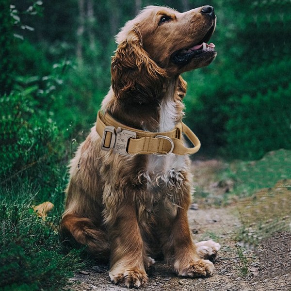 Taktinen koiran kaulapanta sotilaskoiran kaulapanta keskikokoisen ja suuren koiran koulutuskoiran panta M