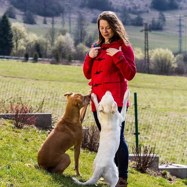 Pet Clicker Træner, Pet Clicker Træningsenhed, Clicker Værktøj Til Hundetræning, Pet Træningsclicker Til Hunde, Katte, Hvalpe, Fugle