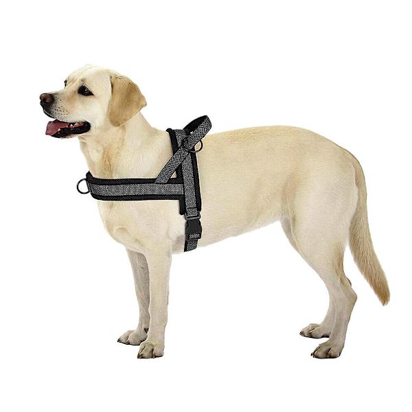 Sikkerhedsreflekterende hundesele, trækfri, frontmonteret til kæledyr, Beagle Rottweiler Black L:Chest 66-84cm
