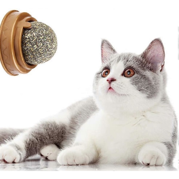 Naturlig användning av kattmynta leksaksboll behandlar eliminerar hårbollar för att främja