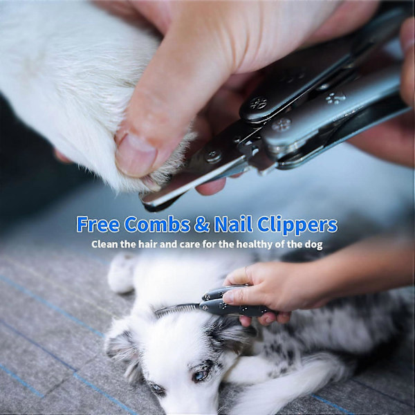 Beste hundeklippere for engstelige og sensitive hunder, stillegående og skarpeste hundeklippere for ekstra store, mellomstore og små raser, kraftig metallhund