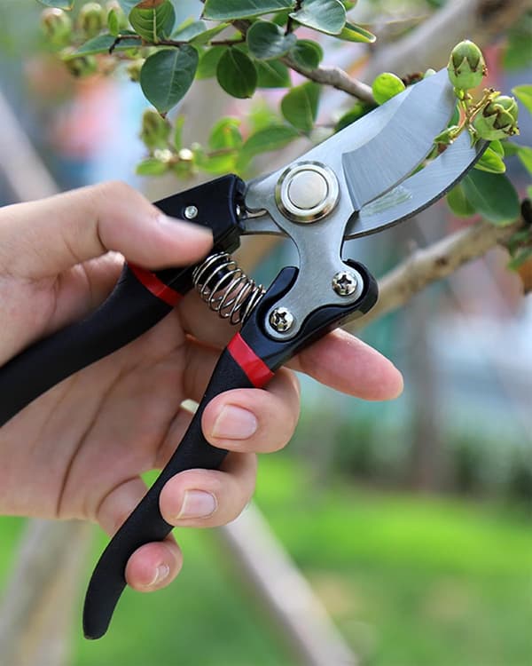 Beskjæringssaks for blomster, frukttrær og poding; arbeidsbesparende saks for tykke grener.