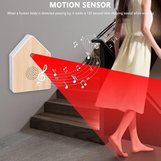 Motion Sensor - Motion Detectors - Indoor Motion Sensor - Motion Detector with Nature Sounds - Box with Wall Mount - Nature Sounds - Birdsong