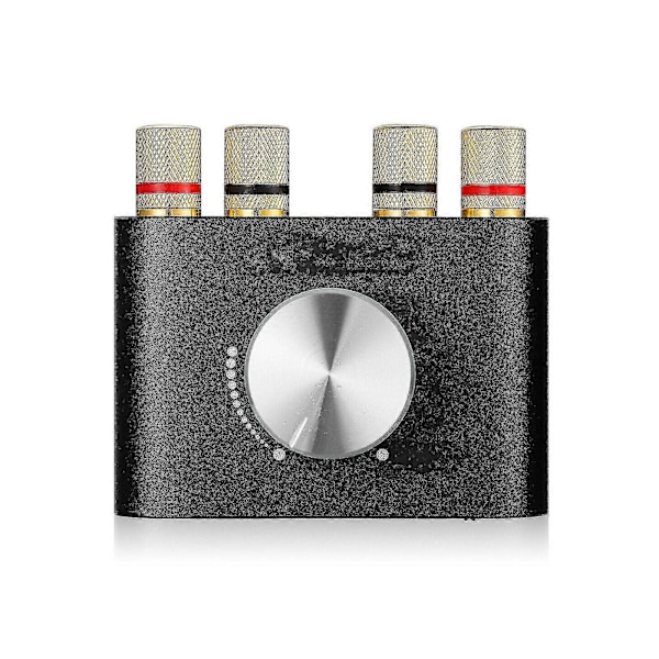 Bluetooth 5.0 Stereo Audio -vahvistin, 2-kanavainen Class D Mini Hi-fi -vahvistin -dwdz