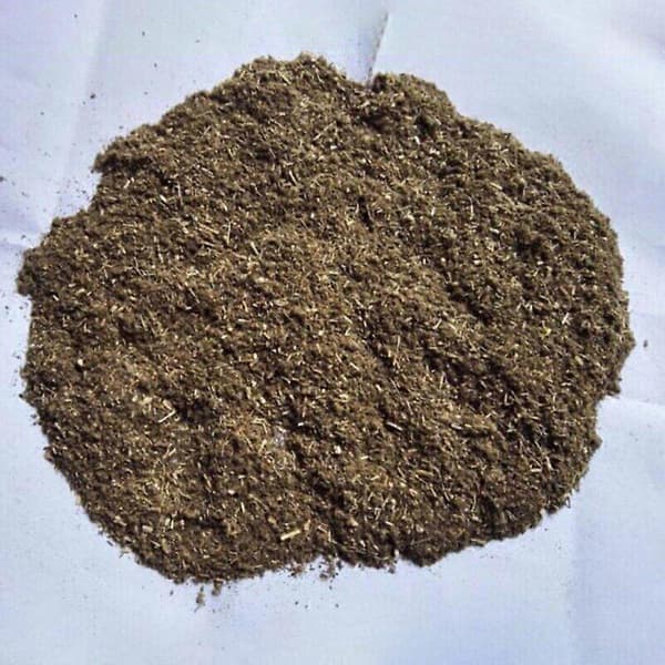 Moxa Rolls Ren Malurt Tradisjonell Moxa Terapi Medisinsk Moxibustion Stick