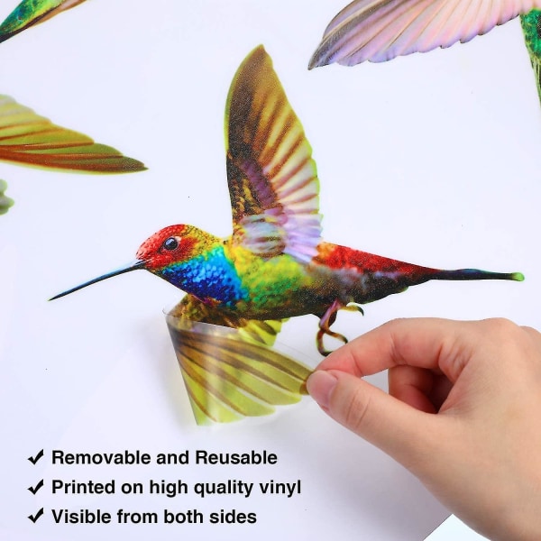 6 kpl Hummingbird Window Clings -kiinnitystarrat