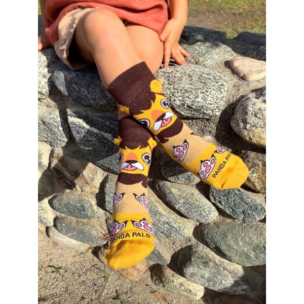 Happy Lion Sock (3-7 år) från Sock Panda Multicolor Small (Age 3-5)