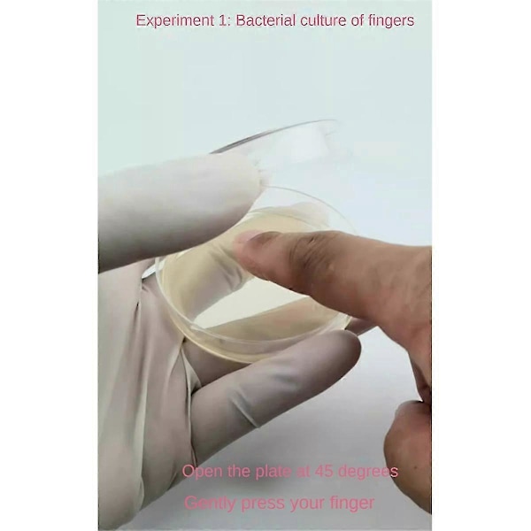 Kartoffel Dextrose Agar Skål Bakteriel Skål til Svampe, Hjemmetestsæt eller Science Fair Projekt, 10 stk