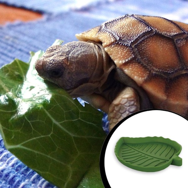Reptil Vatten Mat Skål Bladform Säkerhet Slät Yta Krypdjurskål Multifunktionell Matningsbassäng Amfibier Husdjurstillbehör