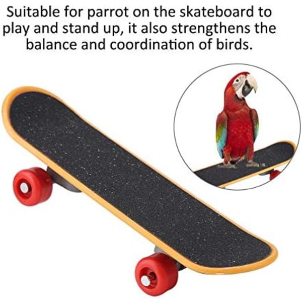 Fågel Papegoja Intelligensleksaker Mini Träningsskateboard för Undulater, Parakiter, Nymfparakiter, Dvärgpapegojor, Conure Små och Medelstora Fåglar Rolig Sittpinne Leksak