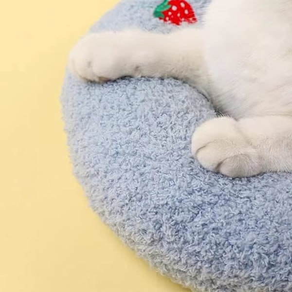 Kuddar för Innekatter Fluffig Katt Lugnande Kudde Söta Kaninkuddar för Husdjurssömn (Blå)