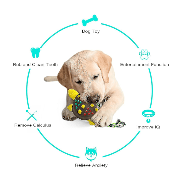 Meows Dog Chew Toys Tandborste Sköldpadda Form Gnid och ren tand Ta bort tandsten Dulable slickande bett Turquoise white