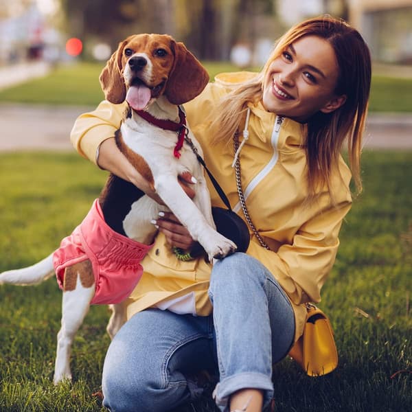 Pet Soft Hundebind (tisper) - Hundeperiodebukser, 3-pakning vaskbare sesongbind (for tisper) (ensfarget, størrelse M)