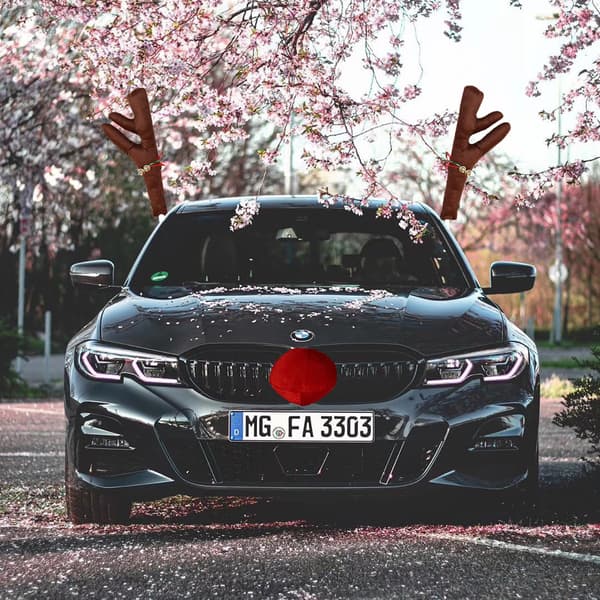 Bilpynt Julegevir Bilgevir Julepynt