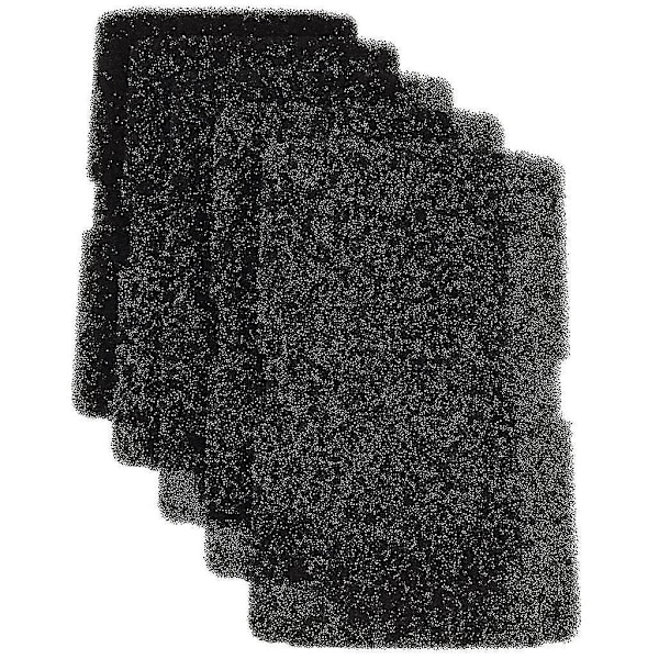 Blomberg Torktumlare Evaporator Filter Svamp 2964840100 5-pack - dwdz
