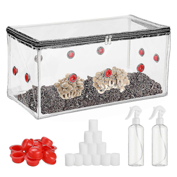 Svamp Monotub Kit Hem Svampodlingskit Svamptält Spara Dina Mykologi Svampodlingspåsar -XX