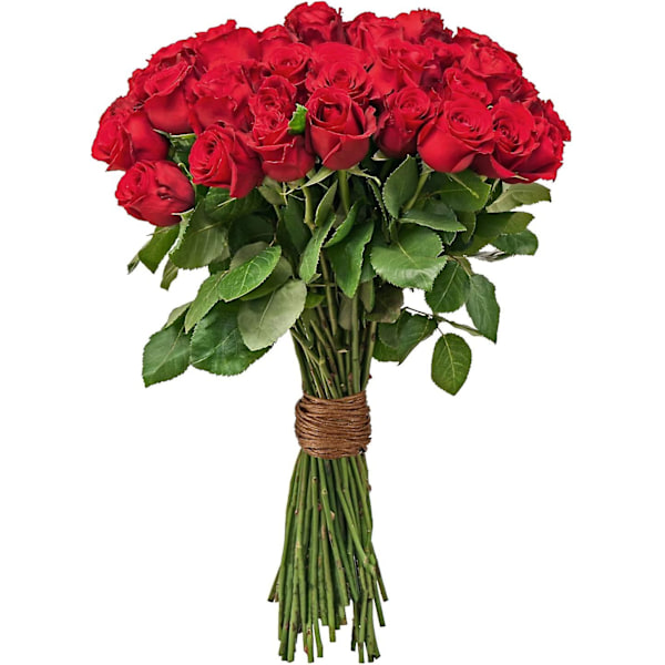 Blomstertråd Vintråd Bindtråd Rustik Tråd Omslagstråd för Blombuketter (Brun, 205 meter)