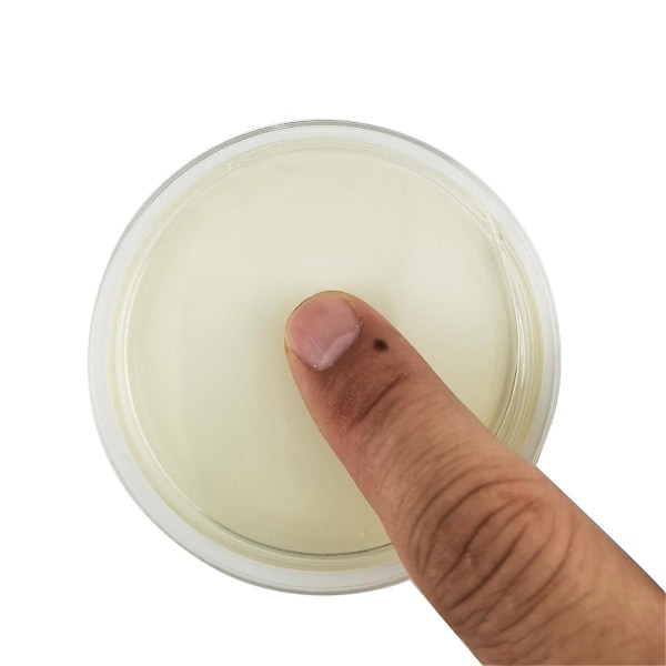 Potatisdextrosagar Petriskål Svamp Bakterier Petriskål, Hemtestkit eller Vetenskapsmässa Projekt, 10 st
