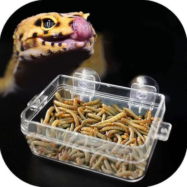 Reptilfoder, Amfibier Reptiler Anti-flugt Madskål Transparent Sugekop Ormefodringsbassin