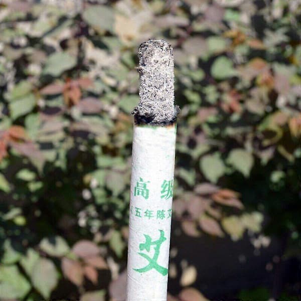 Moxa Rolls Ren Malurt Tradisjonell Moxa Terapi Medisinsk Moxibustion Stick