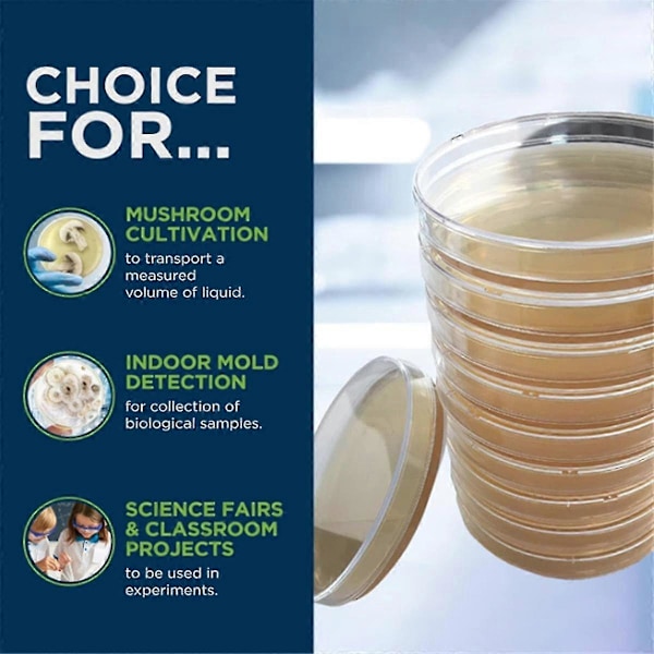Kartoffel Dextrose Agar Skål Bakteriel Skål til Svampe, Hjemmetestsæt eller Science Fair Projekt, 10 stk