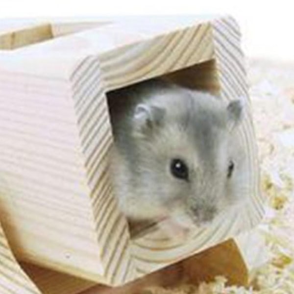 Tålig Trä Gungbräda Hamster Gömställe Vippbräda för Små Husdjur Lekleksaker Vila Sovhus