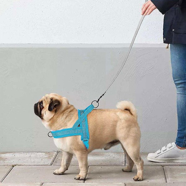 Sikkerhedsreflekterende hundesele, trækfri, frontmonteret til kæledyr, Beagle Rottweiler Blue S:Chest 43-53cm