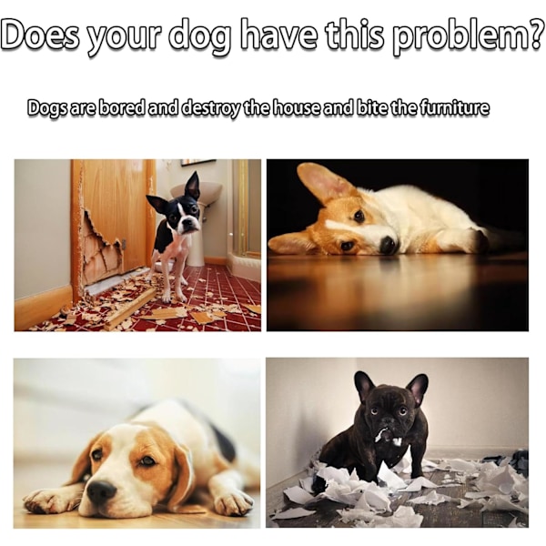 Hundeboll, Leketøy for Hunder, Hundeleketøy med Tau, Interaktivt Leketøy for Kjæledyr, Tauhundeball, Kasteball, Små og Mellomstore Hunder, Sterkt Tau, Du