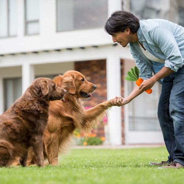 Hunde Squeaky Tyggelegetøj til Aggressive Tyggere, Gummikarosse Tyggelegetøj til Træning og Rengøring, Interaktivt Robust Hunde Legetøj til Mellemstore Hunde