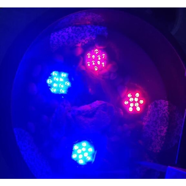 Fjernkontroll vanntett dykkerlys 24 nøkler fargerikt svømmebasseng 1 fjernkontroll + 4 lys