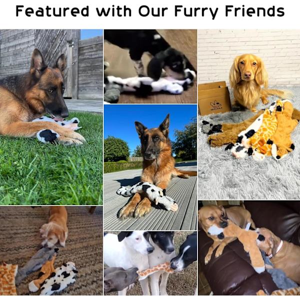 Hunde Squeaky Legetøj, 5 stk. Krøllede Plys Hundelegetøj, Fyldfrit Hundelegetøj til Små, Mellemstore og Store Hunde, Fyldfrit Hvalpe Legetøj mod Kedsomhed