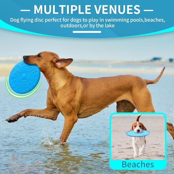 7 tum Hund Flygande Frisbee 1-pack Flyer Hund Leksak, Hund Frisbee, Lätt, Perfekt för Pool och Strand (Orange, Grön, Blå) Blue
