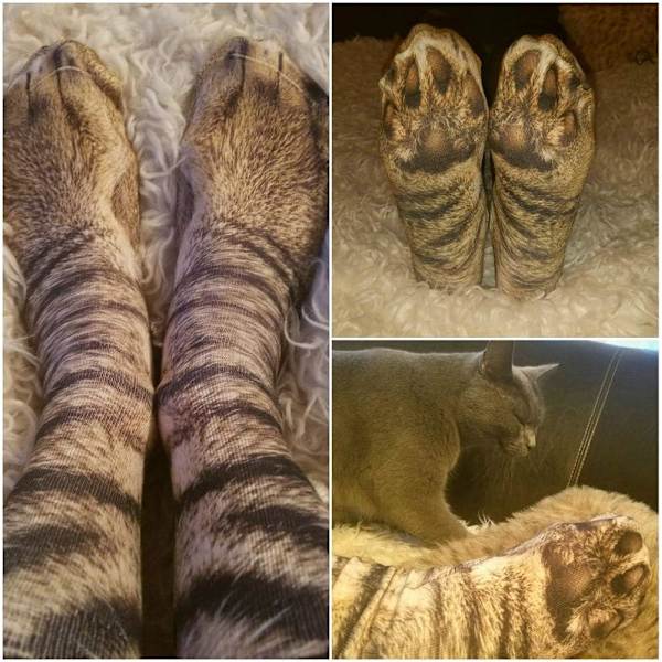 Hauska Joululahja Eläimen Kynsien Sukat Sukka Täytteet Valkoinen Elefantti Lahjat Aikuisten Miehille Naisille Teineille Orange Cat&cat