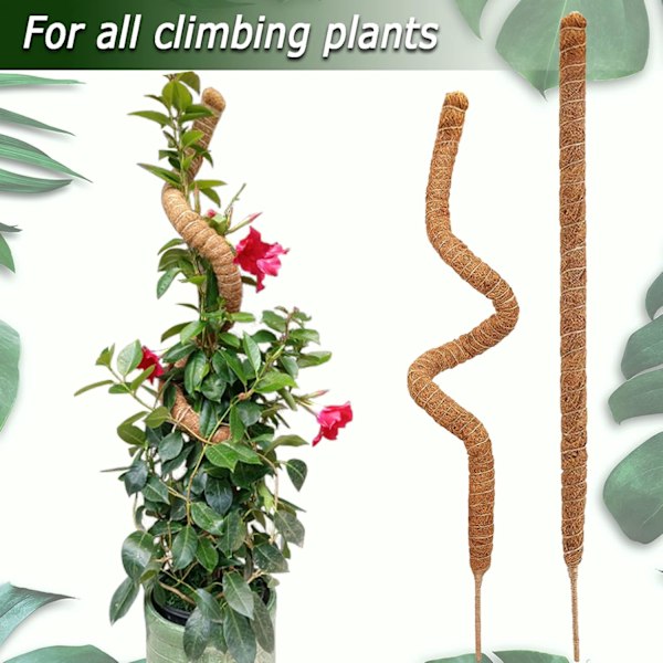 2-pakks Mosstativ, 25 tommer bøybart Mosstativ for planter, Mosstativer for klatreplanter innendørs, Kokosfiberplante Støttepinner for potteplanter 25inch