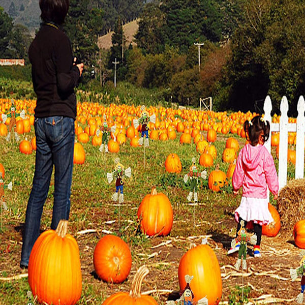 Tiltrekk 10 stk Halloween Skremsledekorasjon - 11,8 tommer Høst Høst Skremsle Thanksgiving Skremsle Høst Høst Stående Skremsle Dekor for Aut