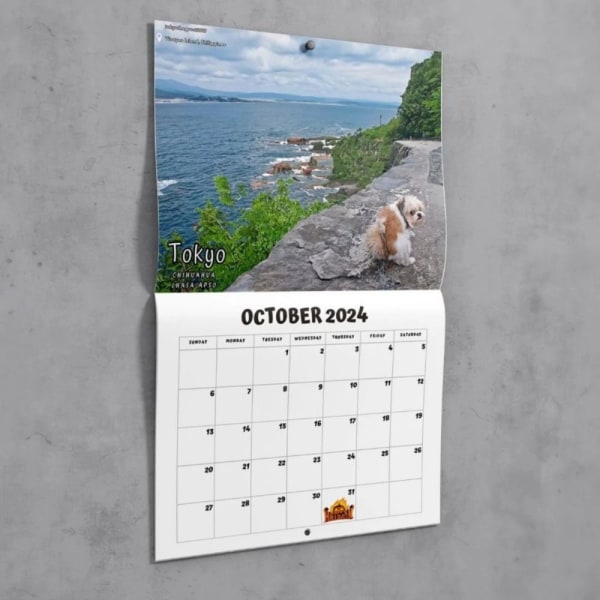 Pooping Dogs -kalenteri 2024 kalenteri