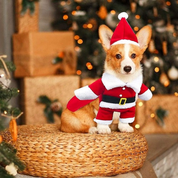 Hund och katt jultomten kostym, jul husdjur kläder M