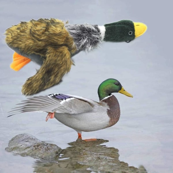 Husdjursleksaker för hundar, Plyschleksak i form av en gräsand, Kvittrande leksaker för medelstora och stora hundar, 40 cm, 1-pack 1