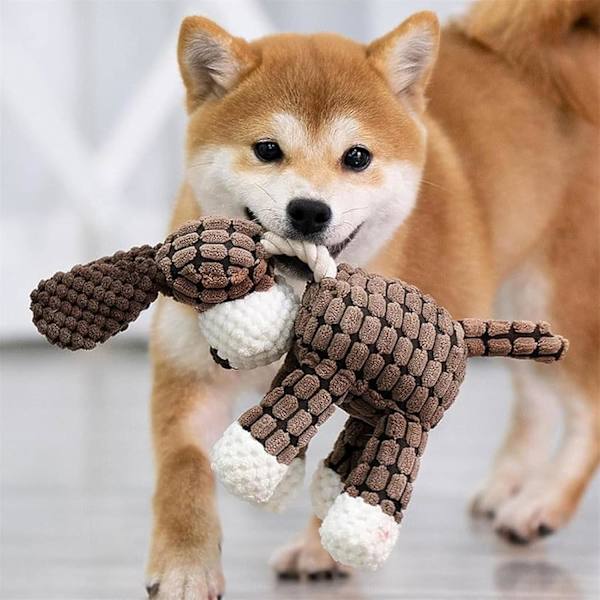 Shirem Bite Buddy, Shirem Bitebuddy Hundeleksak, Petsboro Bitebuddy Hundeleksak, Bite Buddy Hundeleksak, Bitebuddy Tuggleksak för Hundar, Petsrook Premium Plyschleksak D White