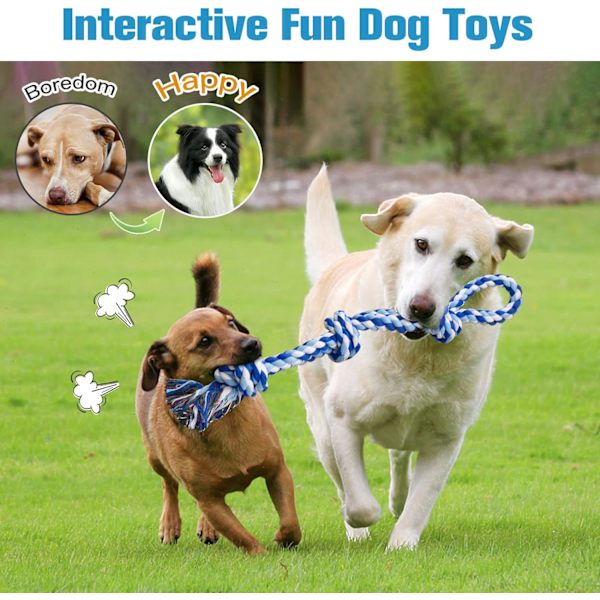 Hundetau leker 2 Nesten uforgjengelige hundleker, Hundleke for mellomstore til store raser, Tannrensende tyggeleker, Hundetrekkleke for kjedsomhet, Hundetenner
