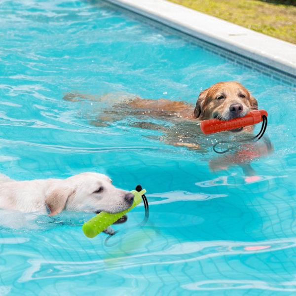 2 st Flytande Hundpoolleksaker - Interaktiva Hämta-leksaker för Hundar i Vatten för att Gömma Mat, Lätta TPR-stötleksaker med Rep för Sommar utomhus Hundträning