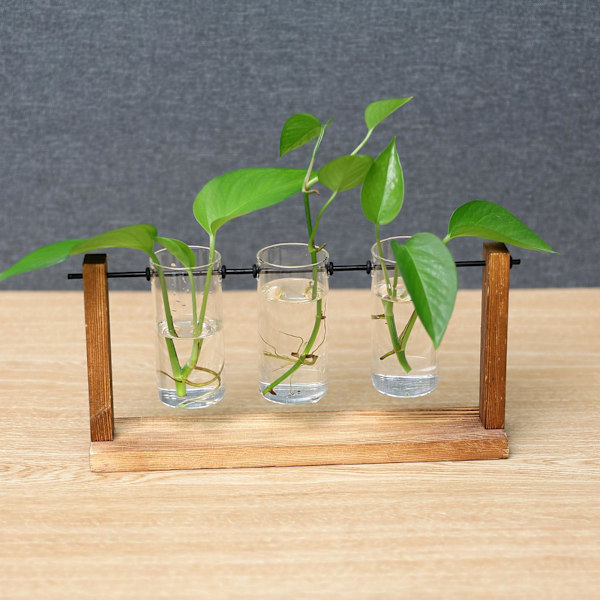 1/2/3 Glasprovrör Vas Planteringskärl Växt Terrarium för Clear 28 x 14cm 1Set