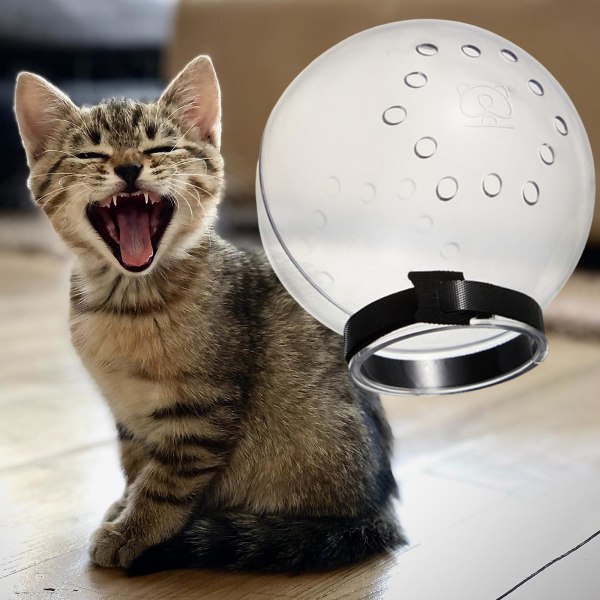 1/2/3/5 Andningsbara mesh förhindrar att katter biter och Middle 1 Pc