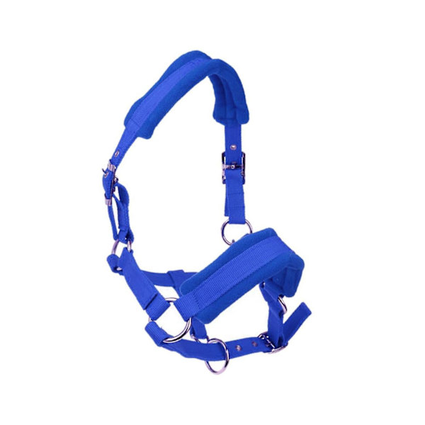 Tjocka ponny Häst Halter Head Collar Ridstall Blue S