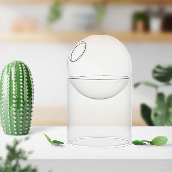 1/2/5 Hydroponic Vase För Blomsterarrangemang Decor for Living Clear Tall 1Set